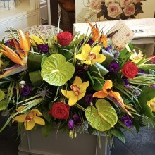 Allison Janes Florist | Gallery